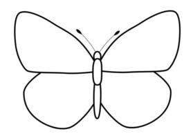 Butterfly black and white outline illustration. Coloring book or page for kids vector