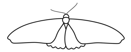 Butterfly black and white outline illustration. Coloring book or page for kids vector