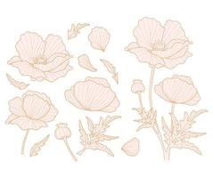 colección de silueta de flores y pétalos de amapola para el diseño. conjunto de flores y hojas vector