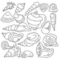 Doodle set of clam shells, outline sea inhabitants and their shells vector