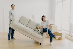 Happy couple move furniture in their new modern home, carry sofa with pet, pose in spacious room, lift couch in living room, have happy looks, celebrate moving day, carton boxes on floor near photo