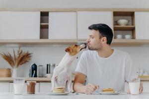 el anfitrión masculino se besa con el perro, come deliciosos panqueques, bebe leche fresca, posa en la cocina durante la mañana. amor mutuo entre las personas y los animales. jack russell terrier y su anfitrión desayunan juntos foto