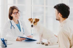Dog owner comes with heart diseased animal to vet for checkup. Jack russell terrier sits at examination table in veterinary clinic. Friendly woman vet writes down prescription for sick animal