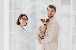 Vetarinary and animal healthcare concept. Happy smiling female vet care about dogs health, going to examine jack russell terrier, talks with client, works in medical center for domestic animals photo