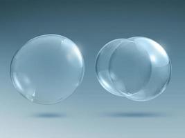 Transparent soap or water bubbles photo