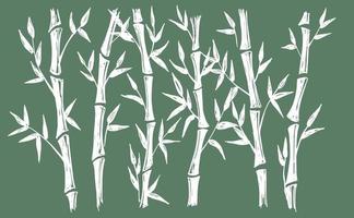 Bamboo tree. Hand drawn style. Vector illustrations.