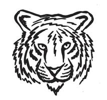 Tiger head, hand drawn illustration, isolated on white background. vector