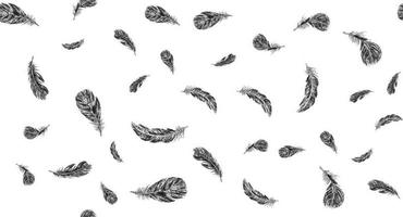 Set of bird feathers. Hand drawn sketch style. vector