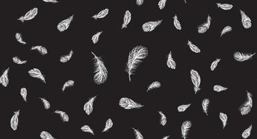 Set of bird feathers. Hand drawn sketch style. vector