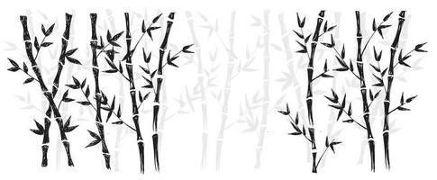 Bamboo tree. Hand drawn style. Vector illustrations.