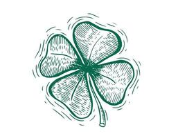 Clover, St. Patrick's Day. Hand drawn illustrations. Vector. vector