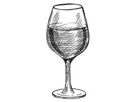 Wine glasses sketch vector illustration. Hand drawn label design elements.