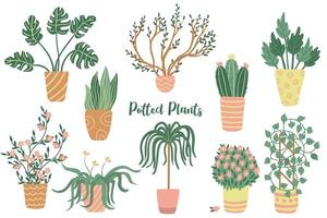 Houseplants set. Hand drawn flat vector illustrations of house plants isolated on white.  Potted plants clipart.