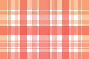 Rad Pastel Color Madras check  A pattern with brightly coloured stripes of varying thickness crossing each other to create uneven checks. Typically used on shirts. vector
