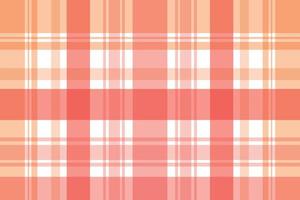 Rad Pastel Color Madras check  A pattern with brightly coloured stripes of varying thickness crossing each other to create uneven checks. Typically used on shirts. vector