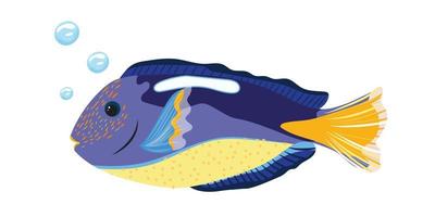 ilustración de peces tang azul real del Pacífico sobre fondo blanco. hermoso pez dory azul con burbujas aisladas. vector
