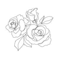 Sketch rose buds outlay vector minimalistic illustration isolated on white background.Three rose flowers continuous line art for different design.Botanical design element