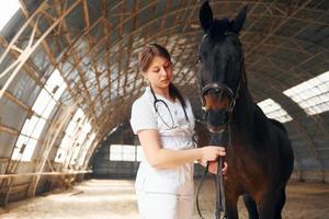 Female doctor in white coat is with horse on a stable photo