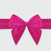 Realistic bow and ribbon isolated vector