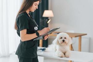 médico tomando notas. lindo perrito está en la clínica veterinaria foto