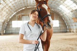 Smiling, positive mood. Female doctor in white coat is with horse on a stable photo