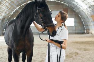 Holding notepad with results of check up. Female doctor in white coat is with horse on a stable photo