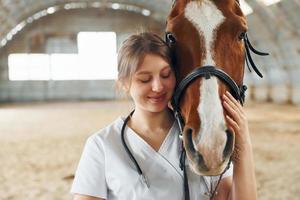 Portrait of female doctor that is in white coat is with horse on a stable photo