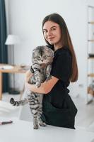 Beautiful portrait. Conception of trust. Scottish fold cat is in the grooming salon with female veterinarian photo