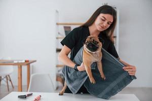 Dog is in the towel after washing. Pug is in the grooming salon with veterinarian that is in black clothes photo