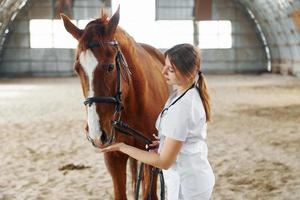 Conception of veterinary. Female doctor in white coat is with horse on a stable photo