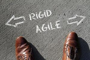 Project approach - the words Rigid and Agile written on the floor, with arrows pointing in opposite directions photo