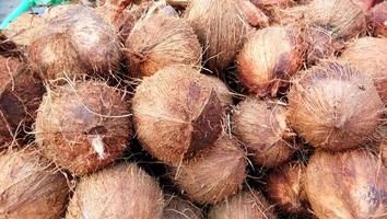 A heap of ripe coconuts stacked together photo