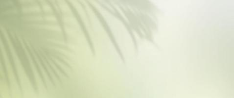 Shadow of palm leaves on a color wall banner background. photo