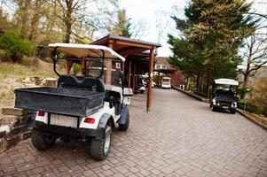 The cart for transportation car in the zoo. photo