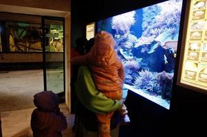 Mother with kids discovering and watching at fishes in aquarium zoo. photo
