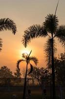 palmeras y lámparas de jardín temprano en la mañana. foto