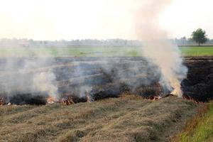 Burning rice straw in the afternoon. photo