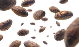 Cocoa beans levitate on a white background photo