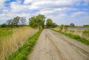 Natural panorama view with moor water coast trees forest Germany. photo