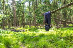 North German clothes purses forest trees nature landscape panorama Germany. photo