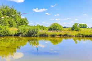 Bog moor swamp pond river lake green plants forest Germany. photo