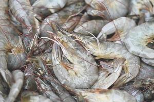 raw shrimps on washing shrimp on bowl shrimps background , fresh shrimp prawns for cooking seafood food in the kitchen photo