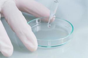 científico analizando una muestra de sangre en una bandeja en el laboratorio foto