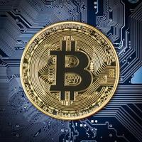 Close up Bitcoin coin on blue circuit board photo