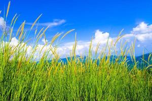 hermoso campo de primavera con una hierba verde y las nubes blancas del cielo azul de la montaña foto