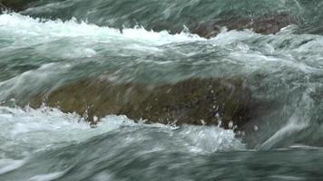 close-up do rio selvagem. fluxo rápido correndo sobre rochas. bela vista do fluxo de água. video