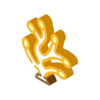 pelvetia grooved seaweed isometric icon vector illustration