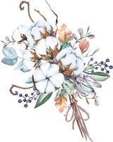 flores de algodón acuarela dibujadas a mano. adecuado para decorar tarjetas de invitación en estilo vintage. ramo de flores. vector