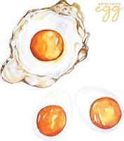 Hand draw fried egg and boiled egg with watercolor.American breakfast.Protein foods for health care. vector