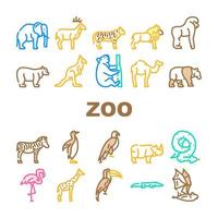 animales del zoológico, pájaros y serpientes iconos conjunto vector